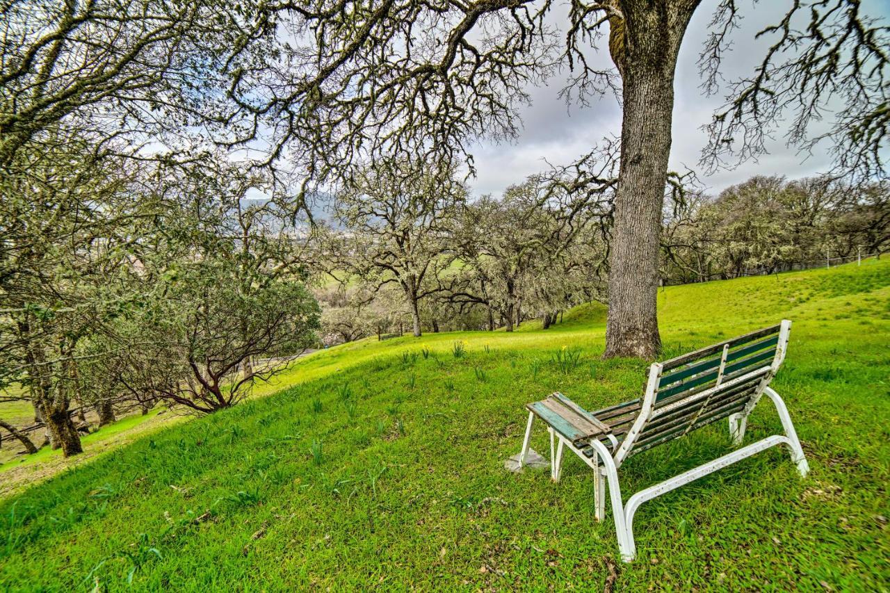 Hilltop Loft Ukiah Vacation Rental! מראה חיצוני תמונה